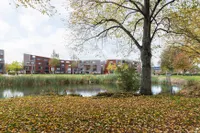 Kokardebloem 39, Papendrecht