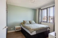 Paardebloem 6, Dongen