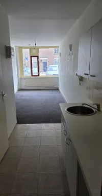 Wittevrouwensingel, Utrecht