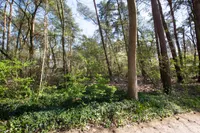 Kattenbergweg 1 139, Winterswijk