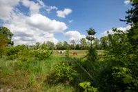 Vosseveldseweg 15 168, Winterswijk Kotten