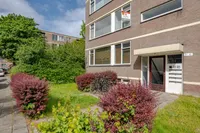 Ruigoord 91, Rotterdam