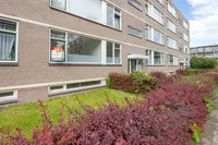 Ruigoord 25, Rotterdam