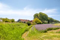 Baandijk 5, Driewegen