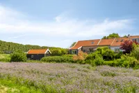 Baandijk 5, Driewegen