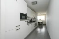 Van Diesenstraat 217, 's-gravenhage