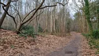 Koperenstraatje 792, Huijbergen