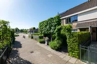 Aphrodite 3, Hellevoetsluis
