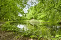 de Kuilen 6, Son En Breugel