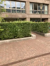 Hammarbystraat, Amsterdam