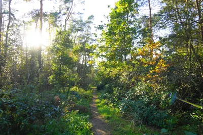 Galgenbergweg 552, 4645, Putte, Noord-Brabant