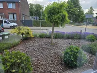 Hendrik van Veldekestraat 2, Venlo