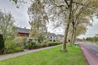 Griene Leane 16, Stiens