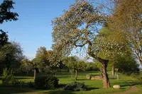Musselweg 86, Mussel