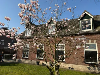 Pastoor van Winkelstraat 63, 5374BH, Schaijk, Noord-Brabant