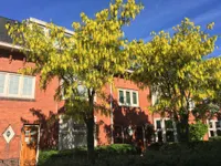 Dr. D. Bosstraat 3 a, Groningen