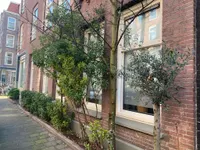Rhijnvis Feithstraat 2 H, Amsterdam