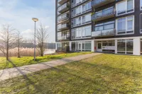 Bosboompad 55, Rosmalen