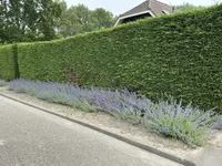 Jenny Weijermanweg 26, Goes