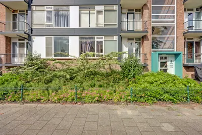 Wijnruitstraat 31, 3193GJ, Hoogvliet Rotterdam, Zuid-Holland