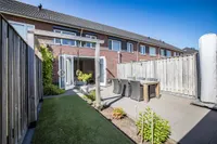 Vingerhoedskruid 10, Vroomshoop