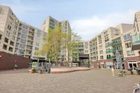 Malmö 68, Schiedam
