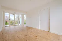Nijveenlaan, Wildervank