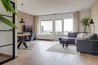 Poolster 164, Hoorn