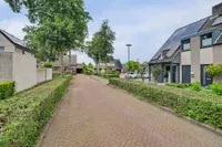 Helmkruid 2, Bladel
