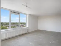 Hermelijnvlinder, Diemen