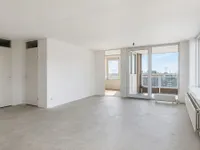 Hermelijnvlinder, Diemen
