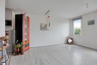 Reaumurstraat 165, Schiedam
