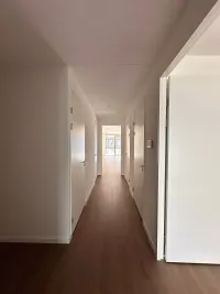 Spadinalaan, Amsterdam