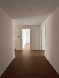 Spadinalaan, Amsterdam