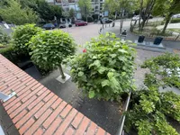Amalia van Solmsstraat, Den Haag