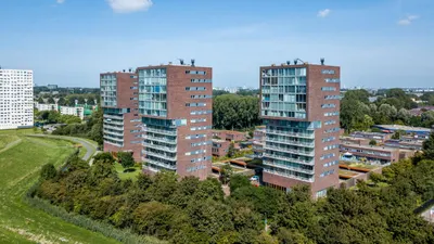 Serpelingstraat , 3192LB, Hoogvliet Rotterdam, Zuid-Holland