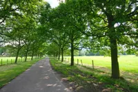 Buurtweg, Wassenaar