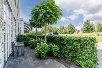 Egelantier 46, Waddinxveen