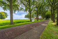 Harpelerweg 0 ong, Vlagtwedde