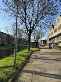 Rhijnauwensingel 17, Rotterdam