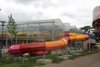 Kattenbos 169-58, Lommel kattenbos