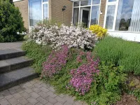 Burgemeester Visschersstraat 1, Ulestraten