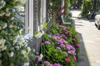 Hommelseweg 238, Arnhem