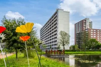 Plein 1953 172, Rotterdam