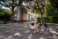 Quarleshavenstraat 31, Nieuw- En Sint Joosland