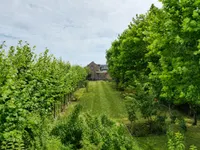 Eiland 18, Sint Kruis