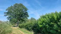 schakenakkerweg 0, Weert