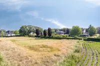 Vesaliuslaan 0 ong, Venray