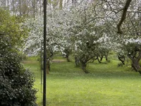 Benedeneindseweg 21, Deil