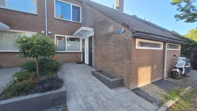 Noten-bogerd , 3343BH, Hendrik-Ido-Ambacht, Zuid-Holland